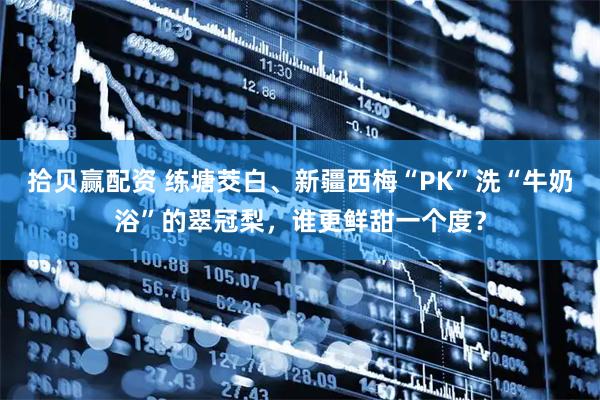 拾贝赢配资 练塘茭白、新疆西梅“PK”洗“牛奶浴”的翠冠梨，谁更鲜甜一个度？