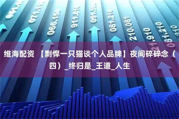 维海配资 【剽悍一只猫谈个人品牌】夜间碎碎念（四）_终归是_王道_人生