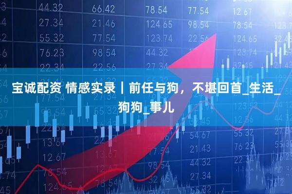 宝诚配资 情感实录｜前任与狗，不堪回首_生活_狗狗_事儿