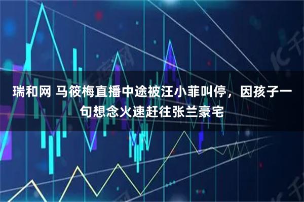 瑞和网 马筱梅直播中途被汪小菲叫停，因孩子一句想念火速赶往张兰豪宅